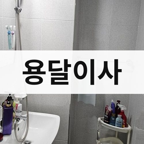 광주 서북 용달이사 포장이사