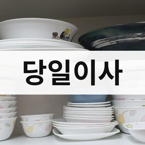 광주 서북 당일이사 포장이사